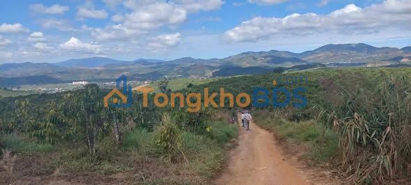 Đất Vườn Lâm Đồng 5460m² - Sổ Đỏ Sẵn Sàng - Giá Đầu Tư 1.512 Tỷ