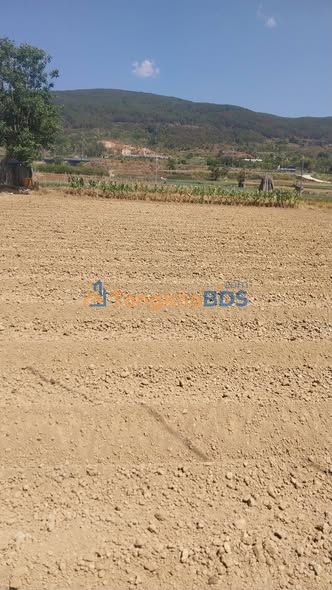 Bán Đất Nền Đức Trọng 4900m² - Sẵn Sàng Tưới Tiêu, Gần QL20