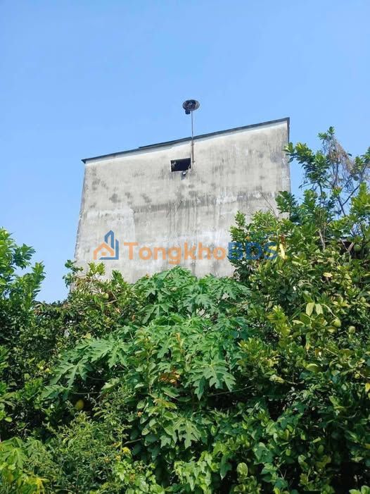 Bán gấp trang trại bưởi Đồng Nai 10.000m² có nhà yến, sổ hồng - 5.3 tỷ