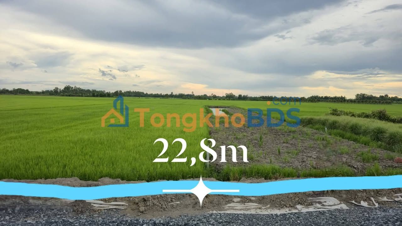 Đất nền Hậu Giang 20.919m² - Sổ hồng sẵn, gần QL61, Cao tốc