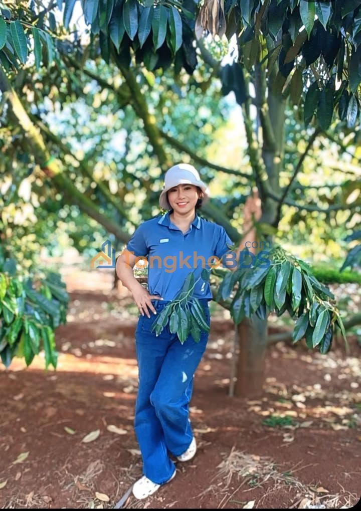 Bán Gấp Rẫy Sầu Riêng 18.000m² Đắk Lắk - Thu 10 Tấn/Năm