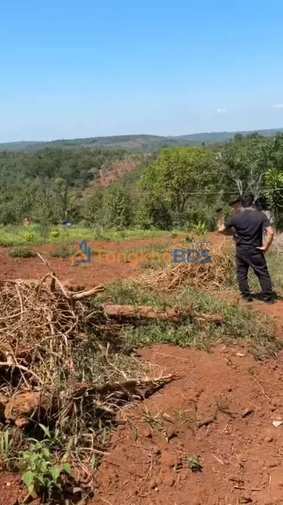 Bán Đất Vườn Pơng Drang 9600m² - Giá Tốt Đầu Tư