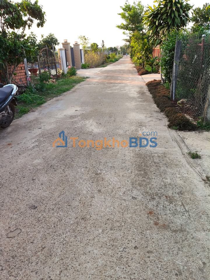 Bán Đất Nền 1000m² Đức Trọng, Lâm Đồng - Mặt Tiền 20m Bê Tông, Giá 1.3 Tỷ