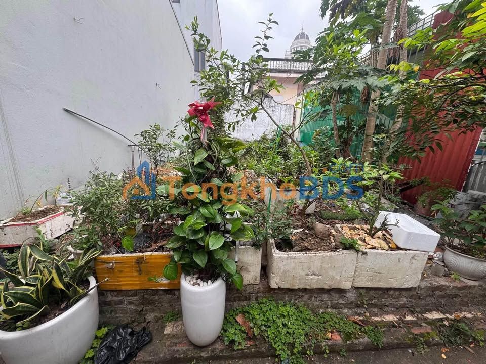 Đất Kim Chung Đông Anh 50m² thỏa thuận - Sổ đỏ chính chủ