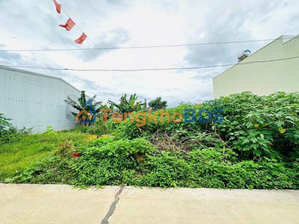 Đất Nền Đắk Nông 130m² Sổ Đỏ Sẵn - Giá Tốt