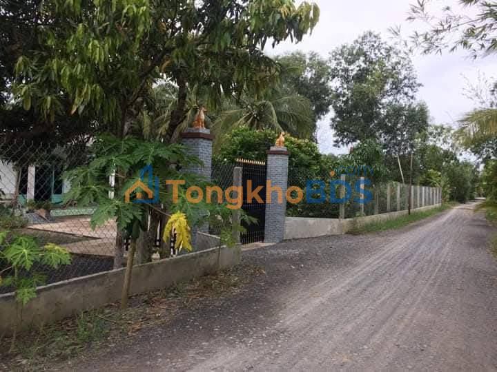 Đất Hựu Thạnh Đức Hòa 2.108m² 5.5 tỷ - Đường to ô tô