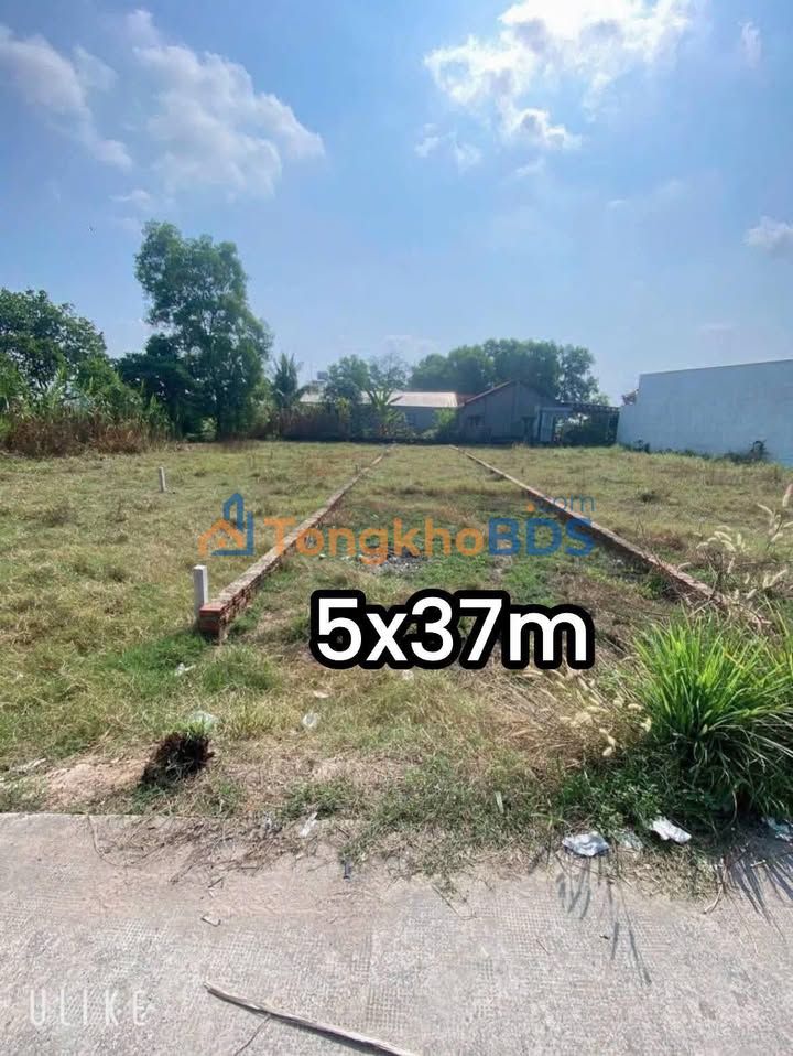 Đất nền Mỹ Hạnh Bắc Long An 185m2 1.1 tỷ - Đường to ô tô