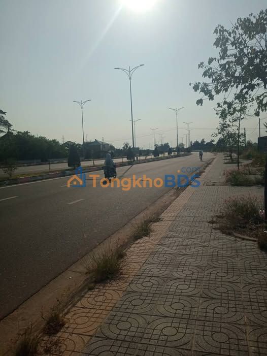 Đất Vàng MT QL 56, Phú Mỹ BRVT - 616m² Sẵn Sổ, Đầu Tư Sinh Lời