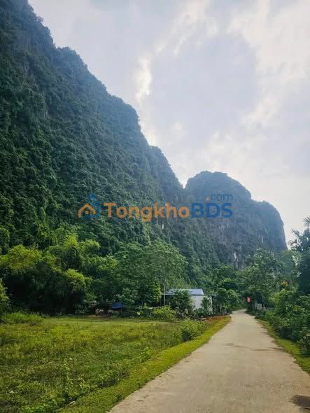 Đất Nền Lô Góc 319m² Thổ Cư, 2 Mặt Tiền Lương Sơn, Hòa Bình - 850 Triệu