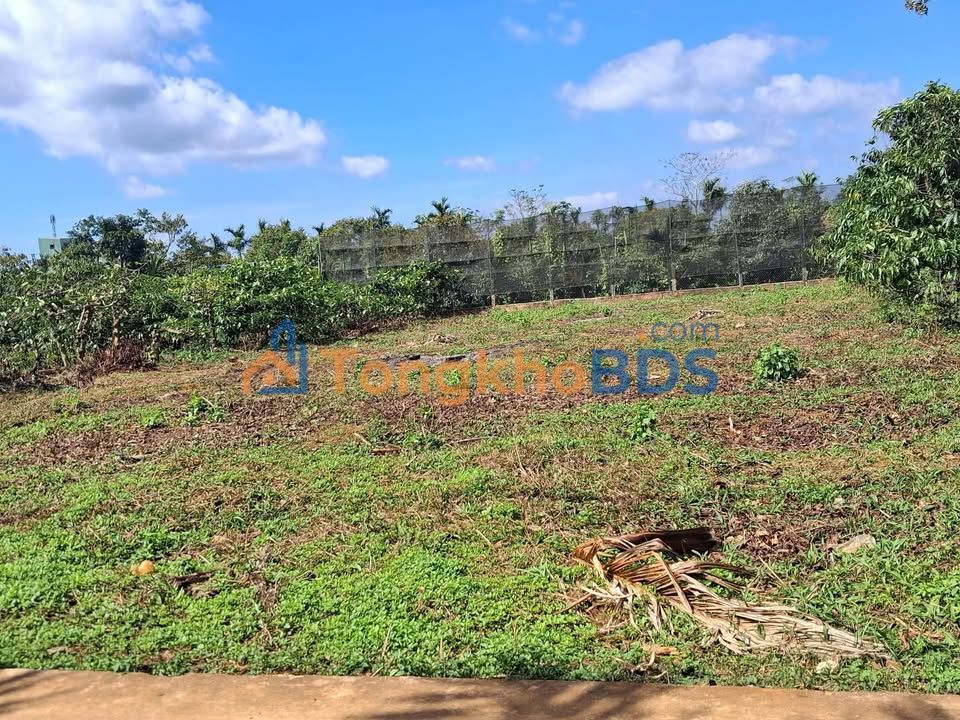 Bán Gấp Đất Vườn 2640m² Đắk Lắk - Giá 970 Triệu, Sổ Đỏ Sẵn Sàng