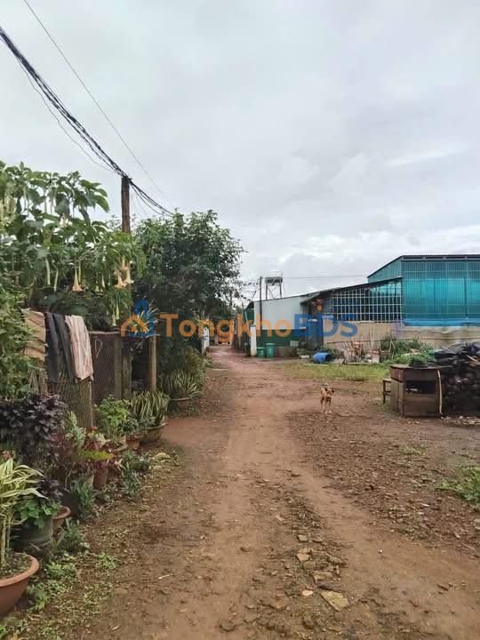 Nhà Nguyễn Duy Trinh Buôn Hồ 132m² 1.05 tỷ - Chính chủ bán