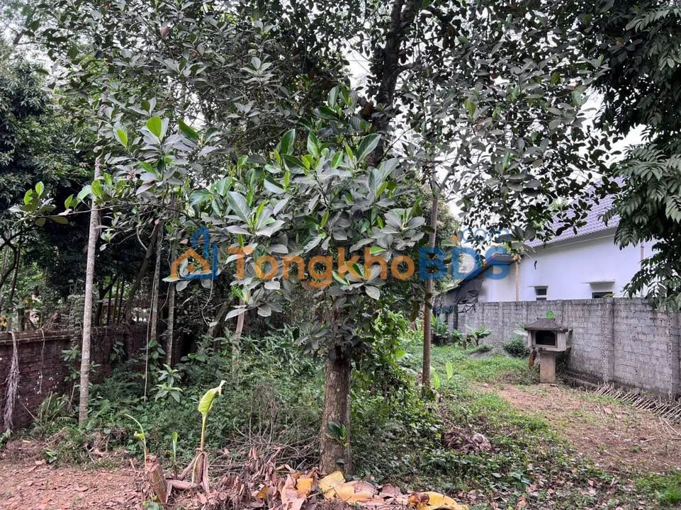 Bán Đất Thổ Cư 875m² Mặt Đường Liên Xã Cao Sơn, Lương Sơn, Hoà Bình - Sẵn Sổ Hồng