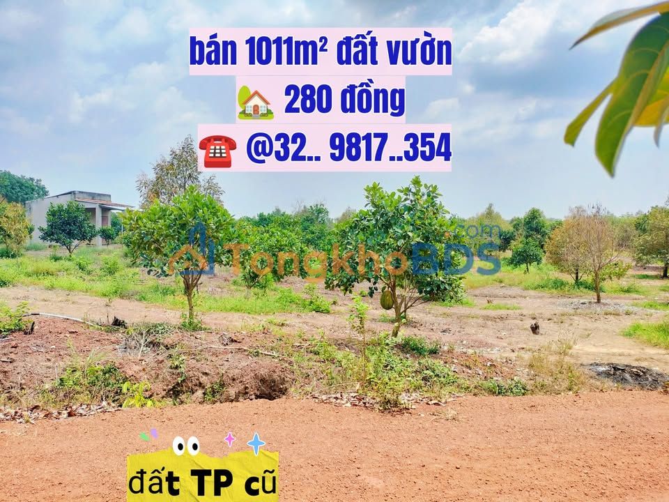 Đất Vườn 1011m² TP Đồng Xoài, Bình Phước - Giá Đầu Tư Tốt