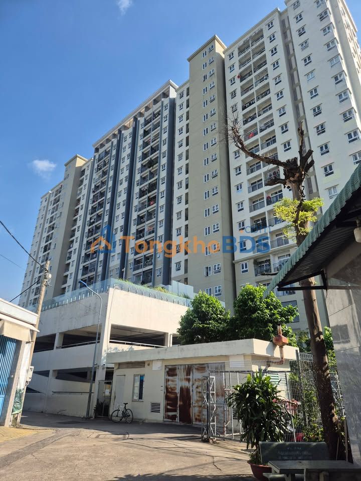 Bán Đất Sổ Hồng Riêng Quận 12 - 50m² Giá 3.65 Tỷ