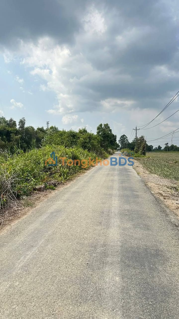 Đất nền Mỹ Phước 190m² giá 250 triệu - Đất thổ cư 100%