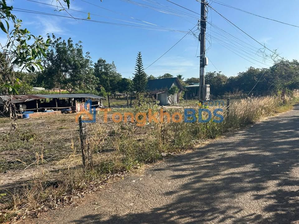 Đất Thạnh Tây Tân Biên 200m² - 3 Mặt Tiền Đường, Giá 3.1 Tỷ