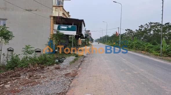 Đất Mặt Đường Nhựa 100m² Hòa Phú, Ứng Hòa - Giá Tốt Đầu Tư