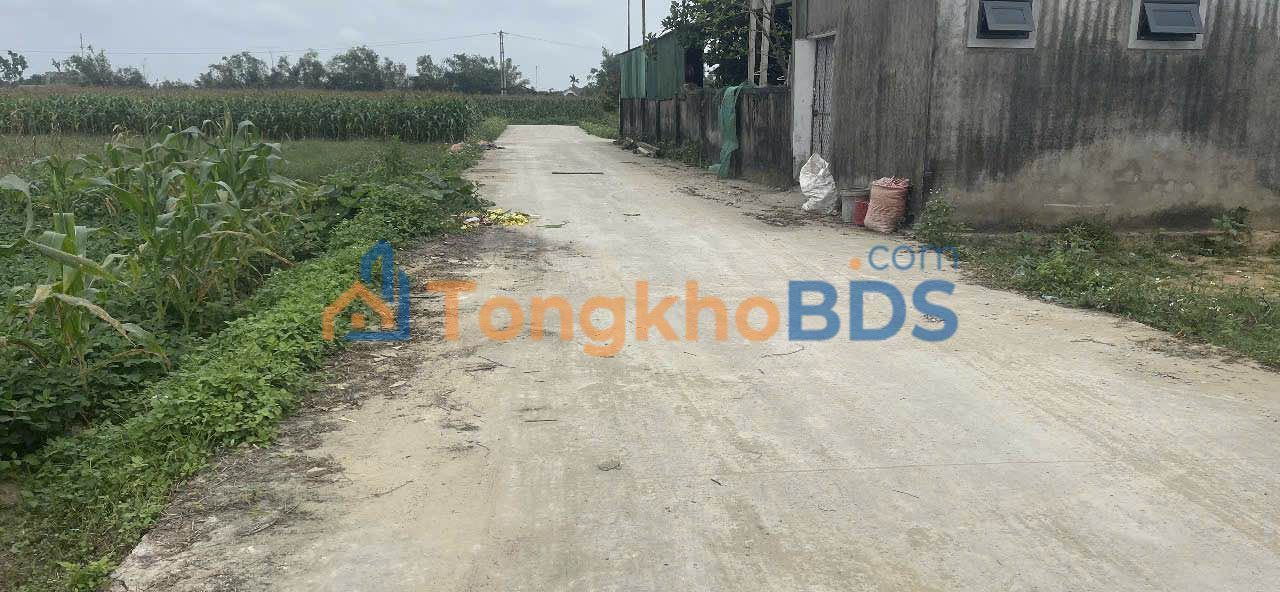 Đất Nền Nghi Lộc 91m² - Sổ Đỏ Chính Chủ, Giá 1 Tỷ