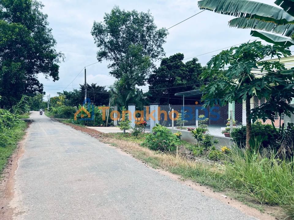 Đất Vàng Dương Minh Châu 1320m² Mặt Tiền Đường Nhựa - Đầu Tư Sinh Lời