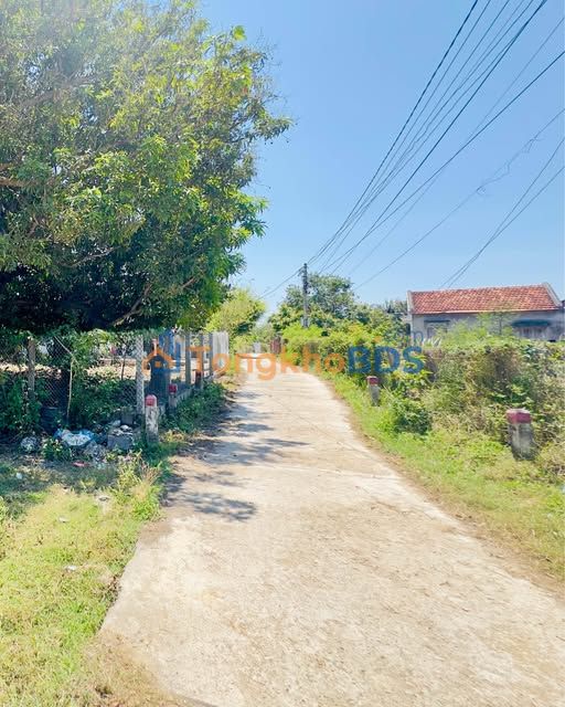 Đất Vạn Thắng 1242m² - Sổ Đỏ Full Thổ Cư, Mặt Tiền 37m, Giá Đầu Tư