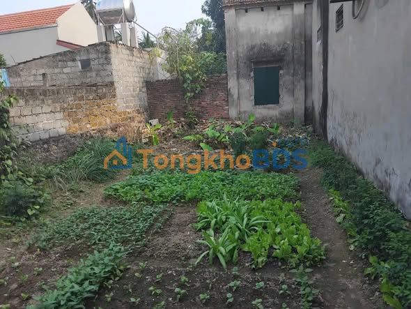 Bán đất Xóm Dẫy, Chương Mỹ 90m² vuông vắn, 1.87 tỷ