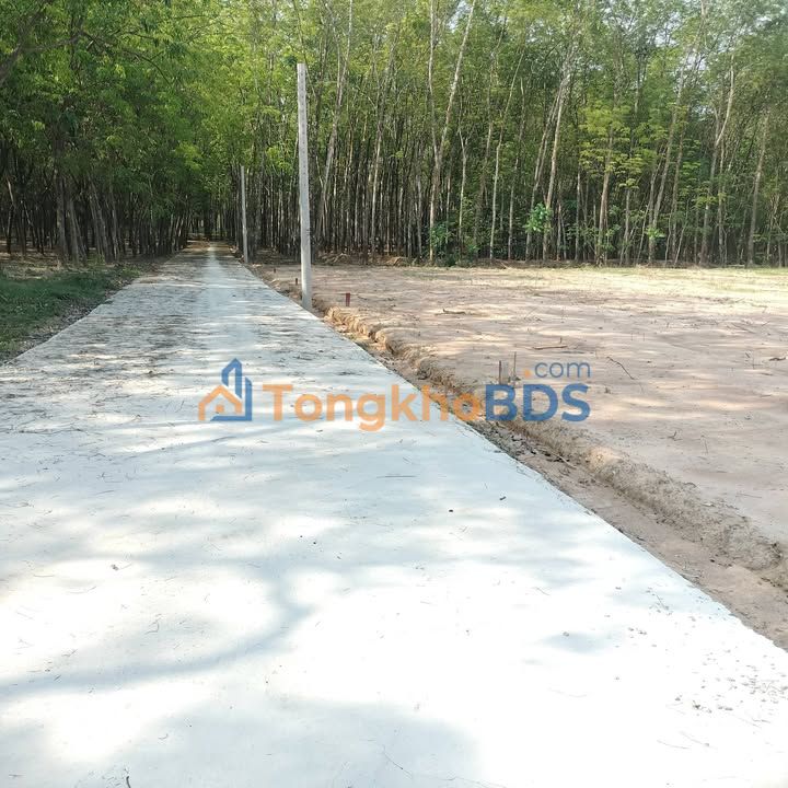 Bán Đất Nền 420m² Xã Hưng Hòa, Bàu Bàng - Sổ Sẵn, Gần KCN