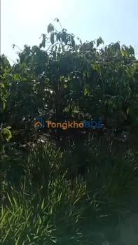 Bán 9000m² Đất Đỏ Liên Đầm - Sổ Đỏ Rõ Ràng - Giá 3.5 Tỷ