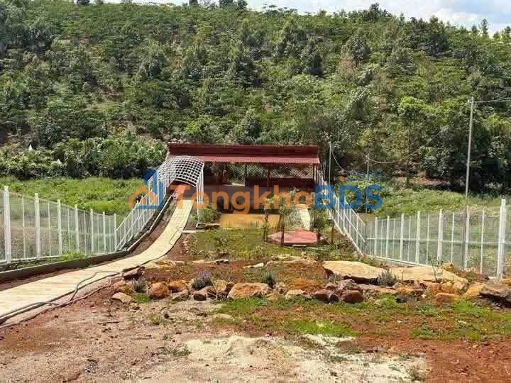 Đất nghỉ dưỡng Phùng Hưng Bảo Lộc 973m² 3.9 tỷ - Tiềm năng tăng giá