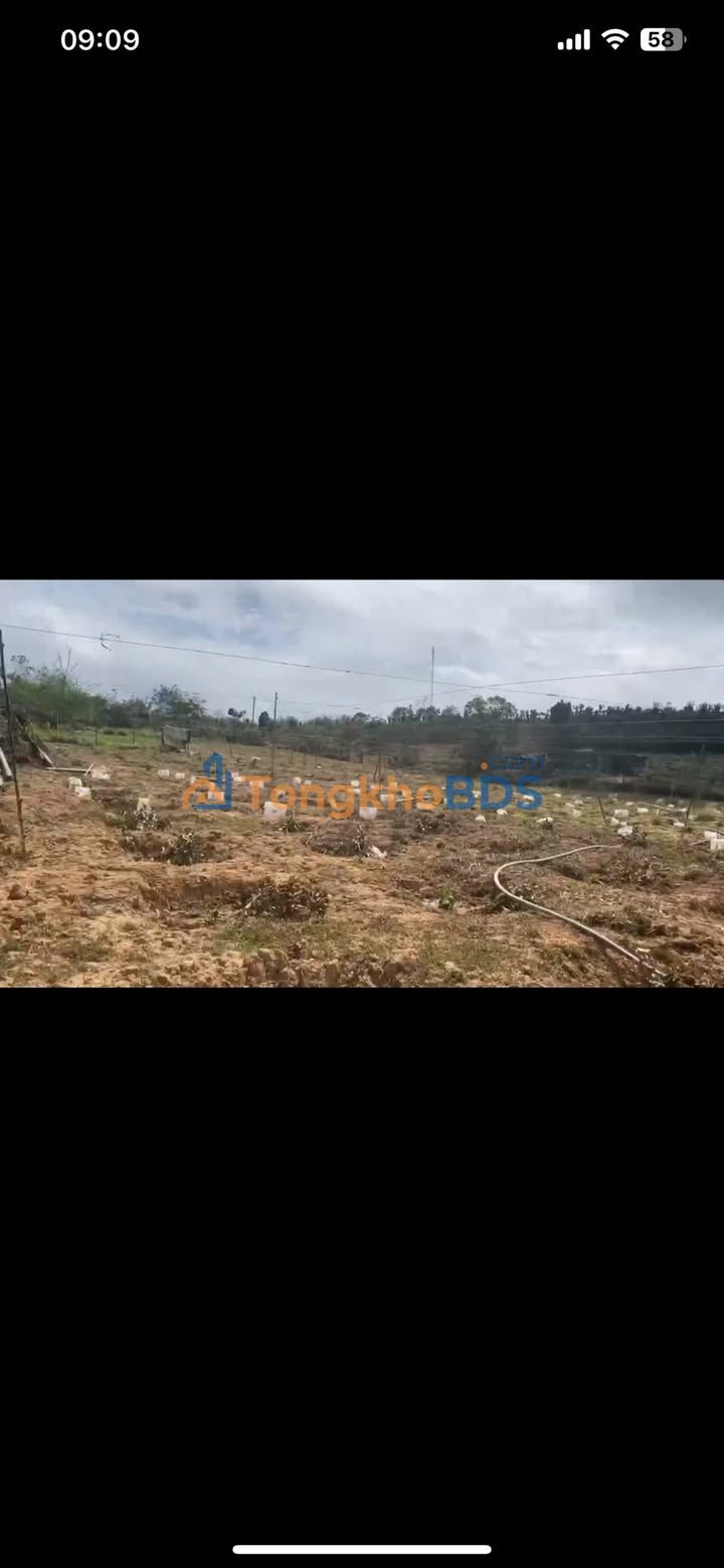 Bán Gấp Đất Vườn 11.000m² Xã Phú Xuân, Nhà Bè - View Sông Krongnang, Sổ Hồng