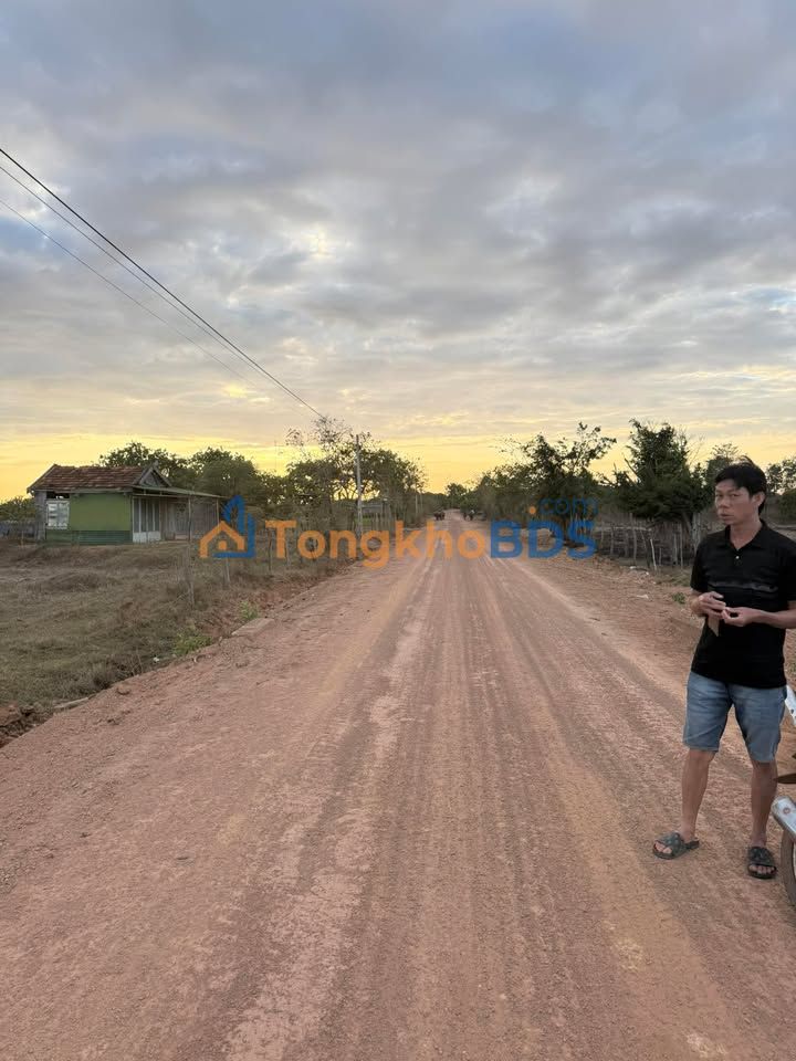 Đất Vườn Đắk Lắk 10.130m² - Mặt Tiền Đường 130m - Giá Đầu Tư 360 Triệu