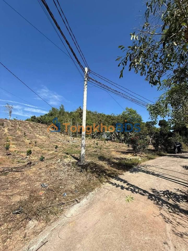 Bán Gấp Đất Vườn 10800m² Mặt Tiền Đường Phú Thạnh, Tân Phú - Giá 1.05 Tỷ