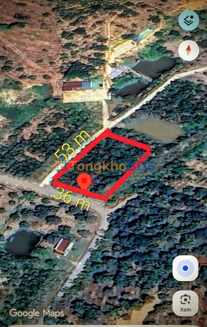 Đất Nền 1828m² Tân Lạc, Bảo Lâm - Sổ Hồng Sẵn Sàng Đầu Tư Sinh Lời