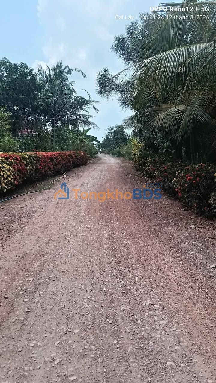 Bán Gấp 3.2ha Đất Vườn Long An - Mặt Tiền Sông Lớn, Giá Đầu Tư 41.6 Tỷ