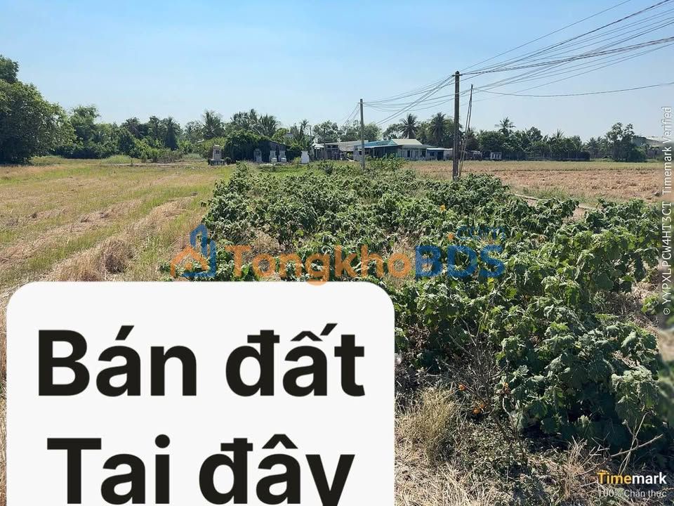 Đất Lúa Long An 700m² Sổ Hồng Riêng - Gần Chợ Trạm QL50