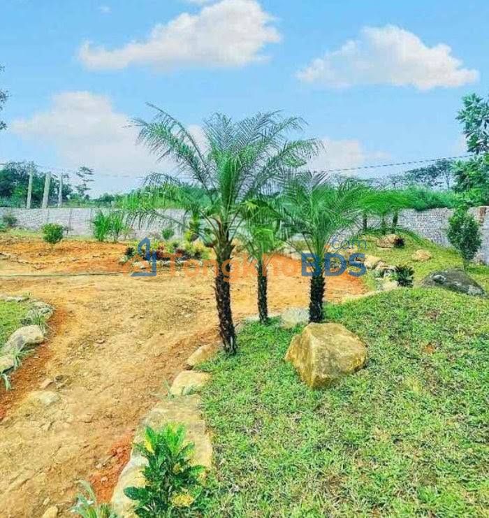 Đất Đông Xuân Quốc Oai 865m² 10 tỷ - Pháp lý rõ ràng