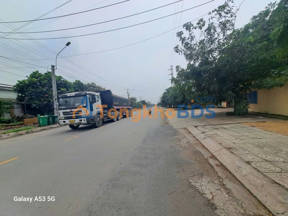 Đất Vườn Long An 15.000m² - Mặt Tiền Nguyễn Trung Trực, Cần Đước - Giá Tốt