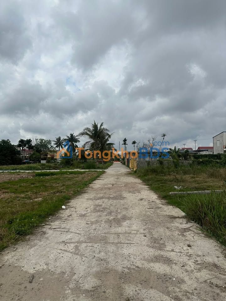 Bán Đất Nền Đồ Sơn 106.5m² - Sổ Hồng Chính Chủ, Gần KCN