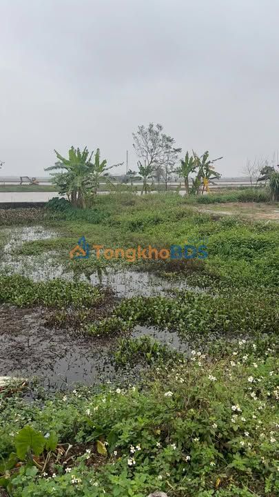 Bán Đất Mặt Lộ Mỹ Lộc, Nam Định - 100m² Kinh Doanh 2.1 Tỷ