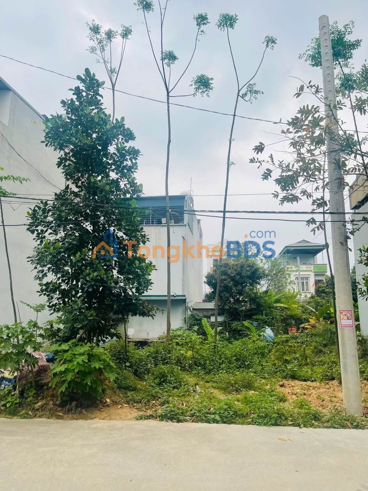 Đất Vũ Thê Lang 84m² 3.85 tỷ - Tiềm năng tăng giá