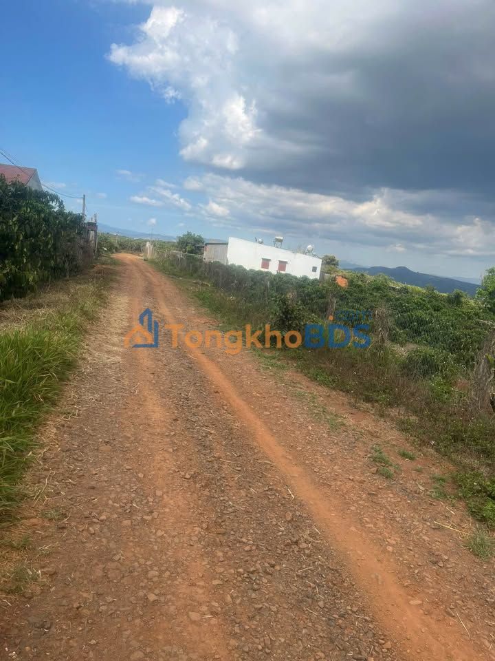 Bán Gấp Farm 4131m² Mặt Tiền 70m Đường Bê Tông - Lâm Hà, Lâm Đồng