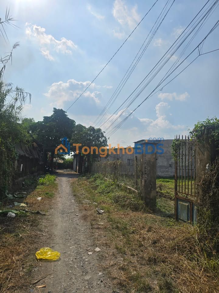 Đất Vườn 1000m² Đông Thạnh, Hóc Môn - Sổ Đỏ Sẵn Sàng, Giá Thỏa Thuận