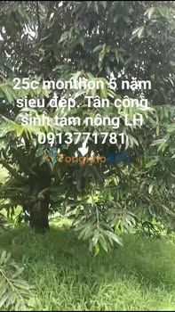 Đất vườn Phú Cường Tiền Giang 2.5ha 8.75 tỷ - Sổ đỏ chính chủ