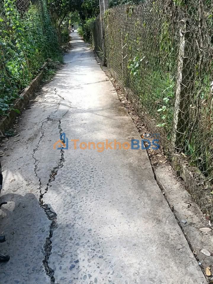 Đất nền Bình Phú Cai Lậy 1000m² 900 triệu - Đường ô tô