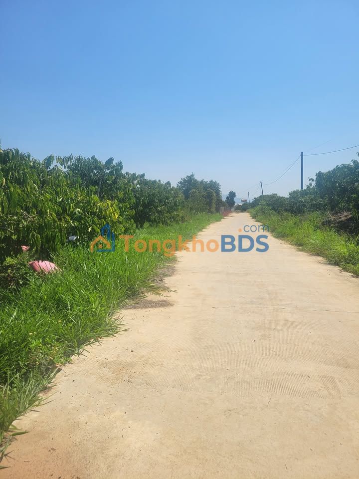 Bán Đất Vườn Lâm Hà 7000m² - Bám 2 Mặt Đường, Sẵn 100m² Thổ Cư