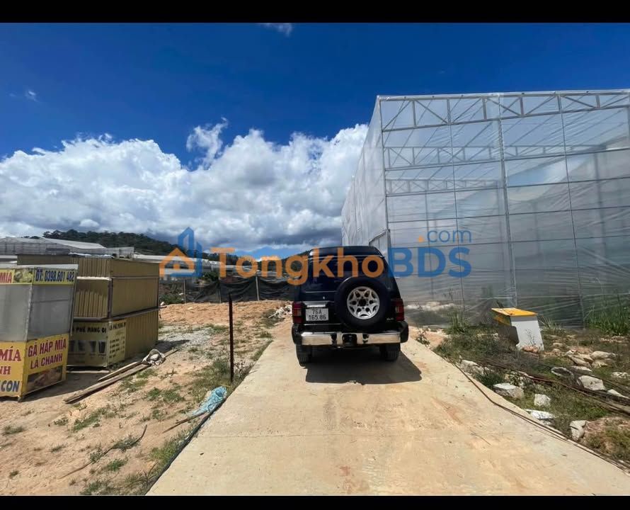 Đất Nền Đà Lạt 97m² Hướng Đông Bắc - View Đẹp, Giá 920 Triệu