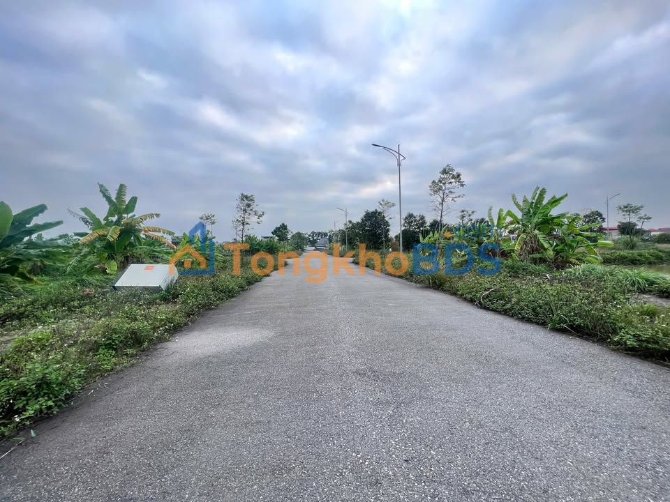 Bán Đất TT Rừng Thông 137m² Hướng Tây - Mặt Tiền 7m, Sổ Đỏ Rõ Ràng