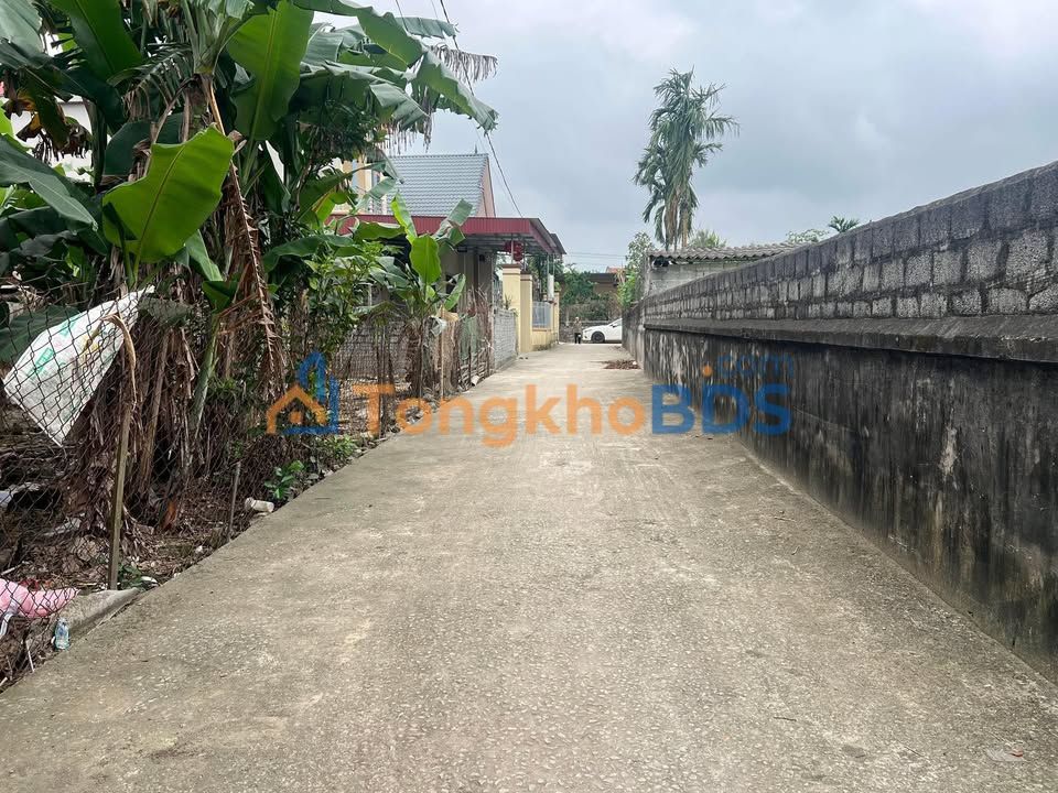 Đất Thổ Cư Triệu Sơn 230m² - Sẵn Sổ Hồng, Dân Cư Giàu Có