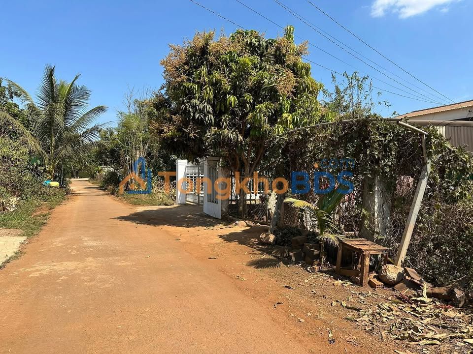 Đất Nền Thị Trấn Đắk Mil 165m² - Giá Đầu Tư 1.2 Tỷ