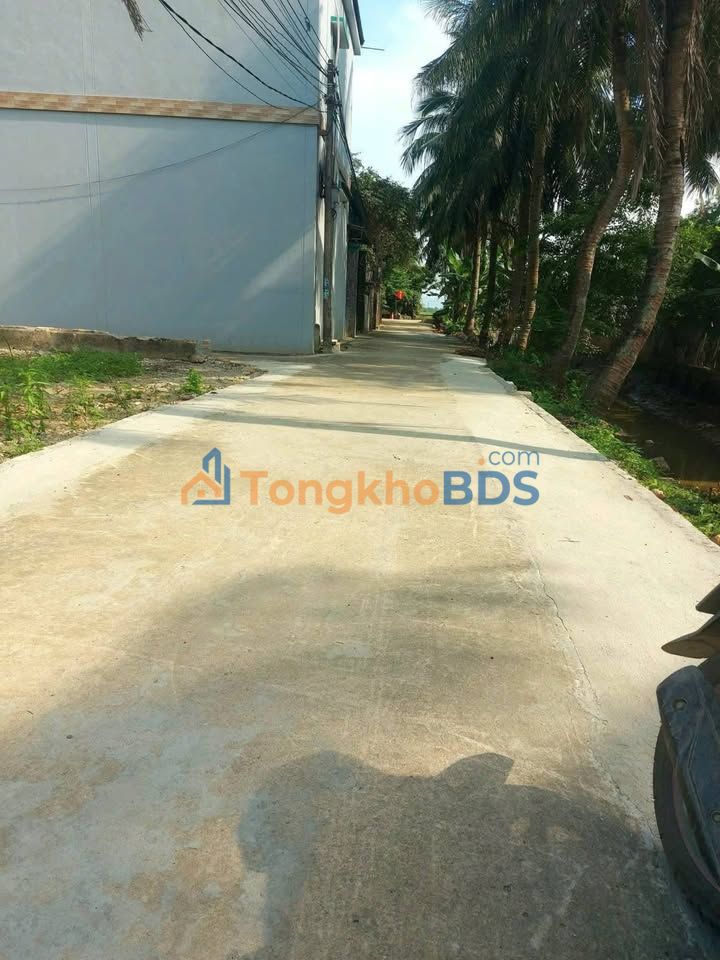 Bán đất 145.8m² Tế Lợi, Nông Cống - Chỉ hơn 300 triệu