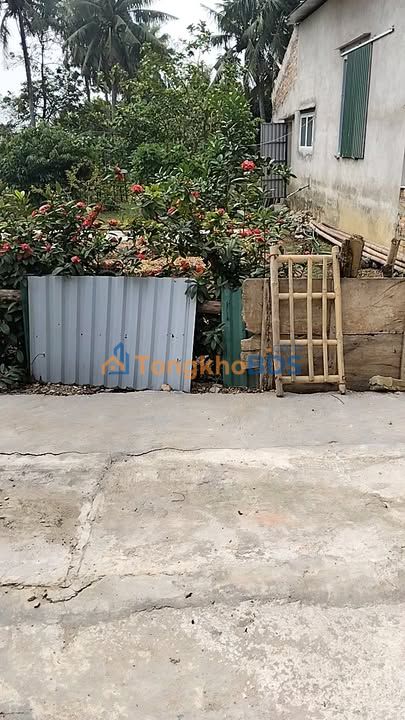 Đất Thổ Cư 175m² Xã Nam Giang, Thọ Xuân - Sổ Đỏ Sẵn Sàng Giao Dịch